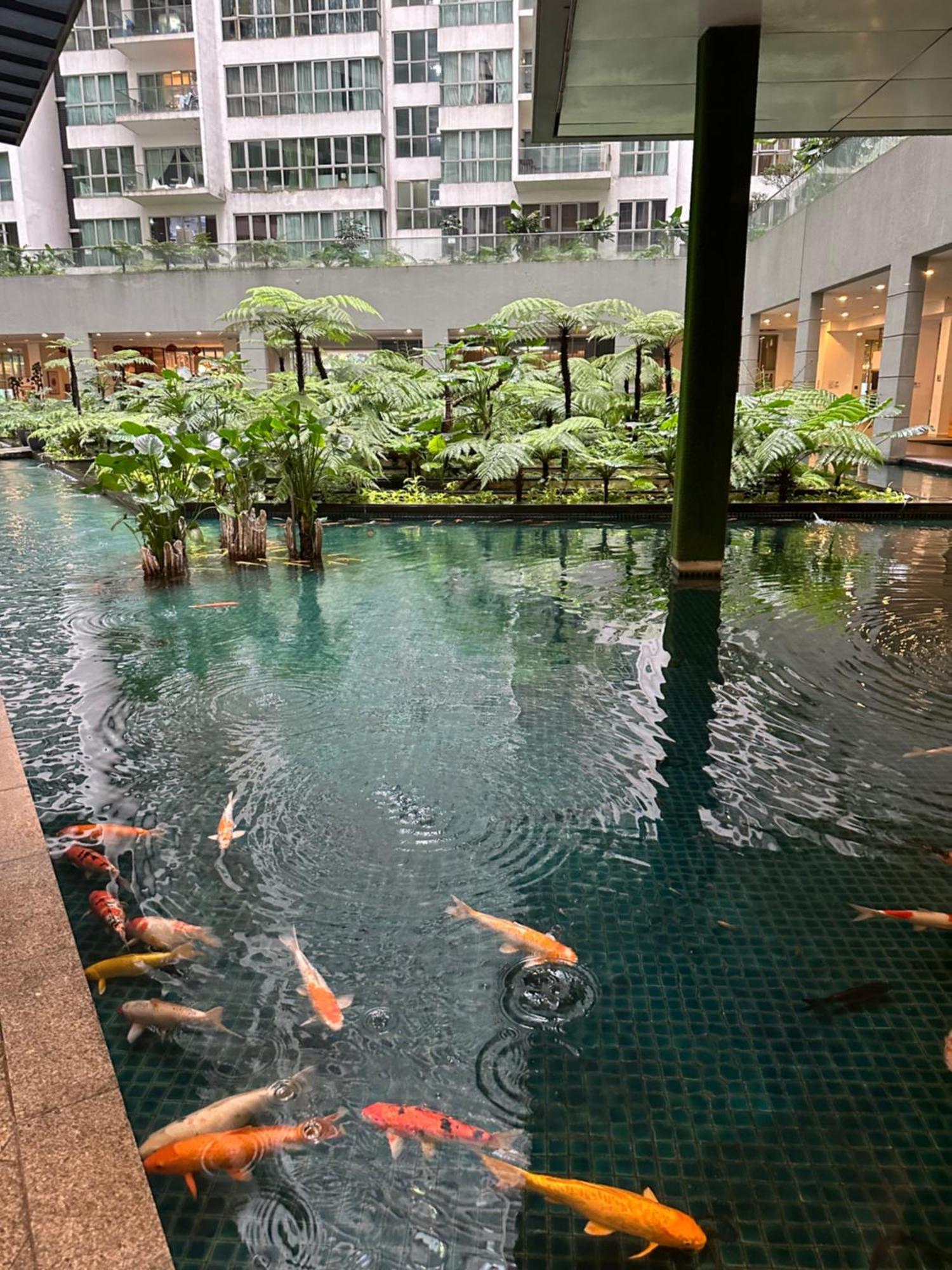 Modern Bauhaus Studio At Regalia Klcc Infinity Pool Куала-Лумпур Екстер'єр фото